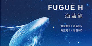 海藍(lán)鯨4折頁